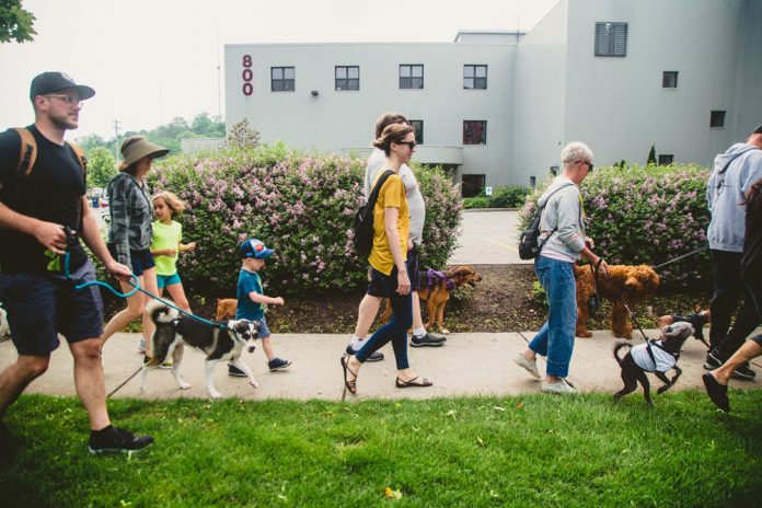 Pop Up Pup Walk