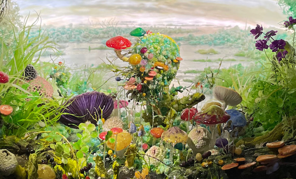Forest of Dreams Detail 363