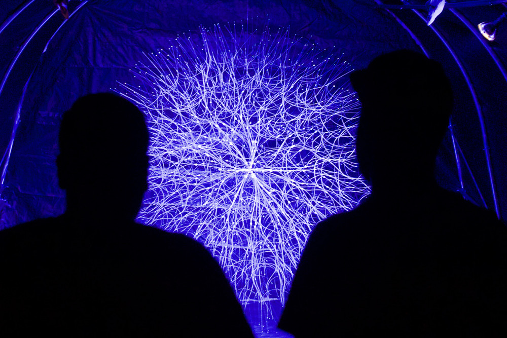 Two silhouettes look toward a bright, intricate, and illuminated object that resembles a glowing dandelion.