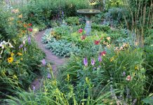 Take a stroll through Holland’s historic gardens