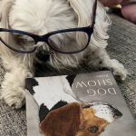 Book-cart dog brings smiles to kids in recovery