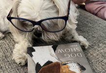 Book-cart dog brings smiles to kids in recovery