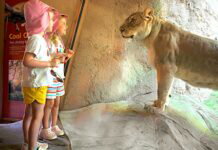 A Point of Pride: John Ball Zoo Earns International Recognition
