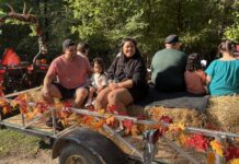Four Things to Do in West Michigan This Weekend