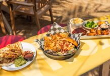 Best Sports Bars in West Michigan for Watching the Lions
