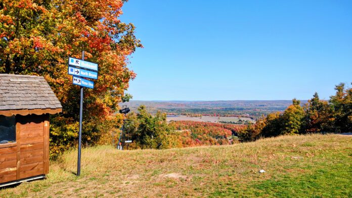 Debby's Boyne Pic