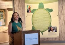 Museum Unveils Reimagined Anishinaabek Exhibit